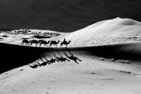441 - DESERT 01 - RYU SHIN WOO - korea, republic of <div